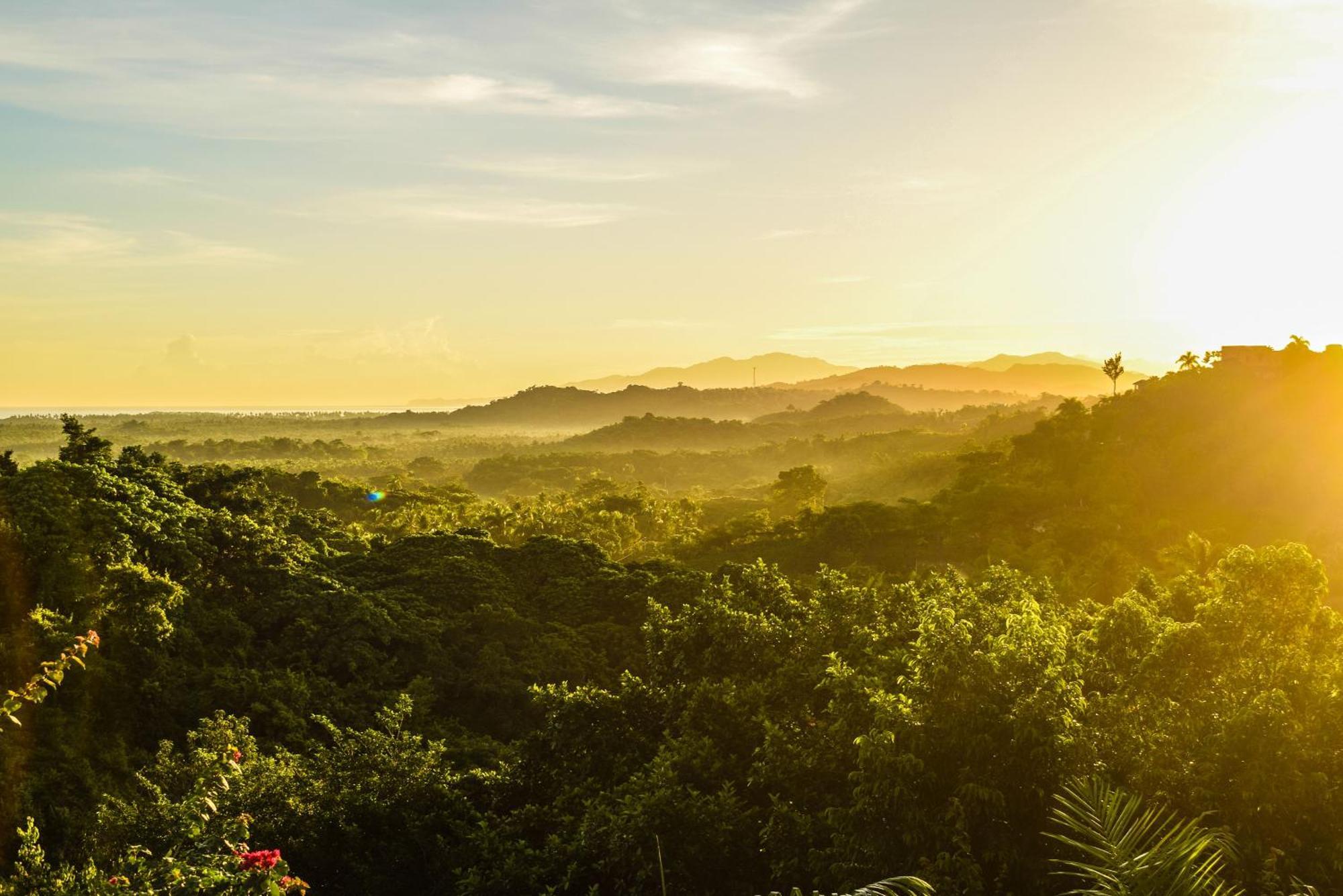 Clave Verde Ecolodge Las Terrenas Dış mekan fotoğraf