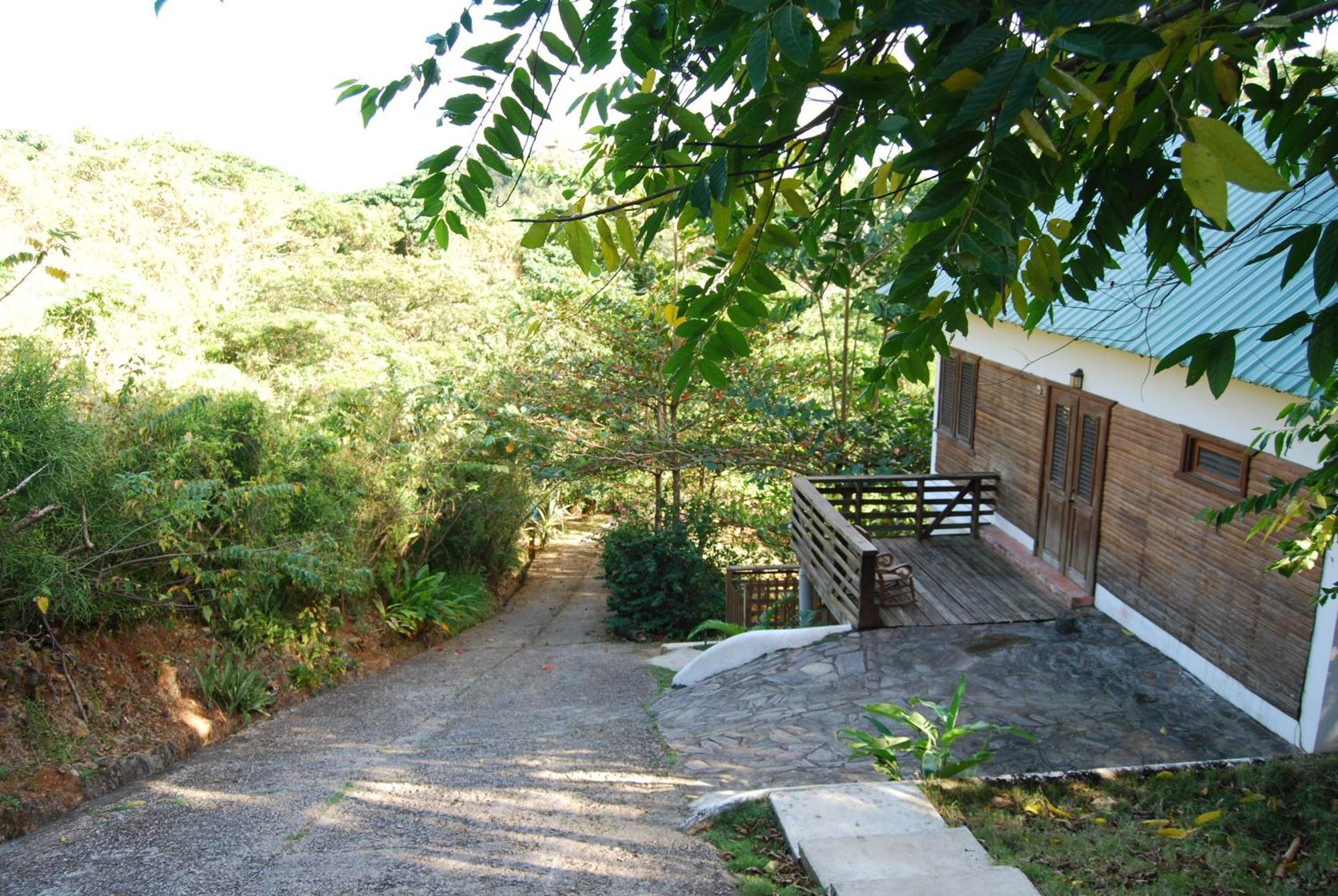 Clave Verde Ecolodge Las Terrenas Oda fotoğraf
