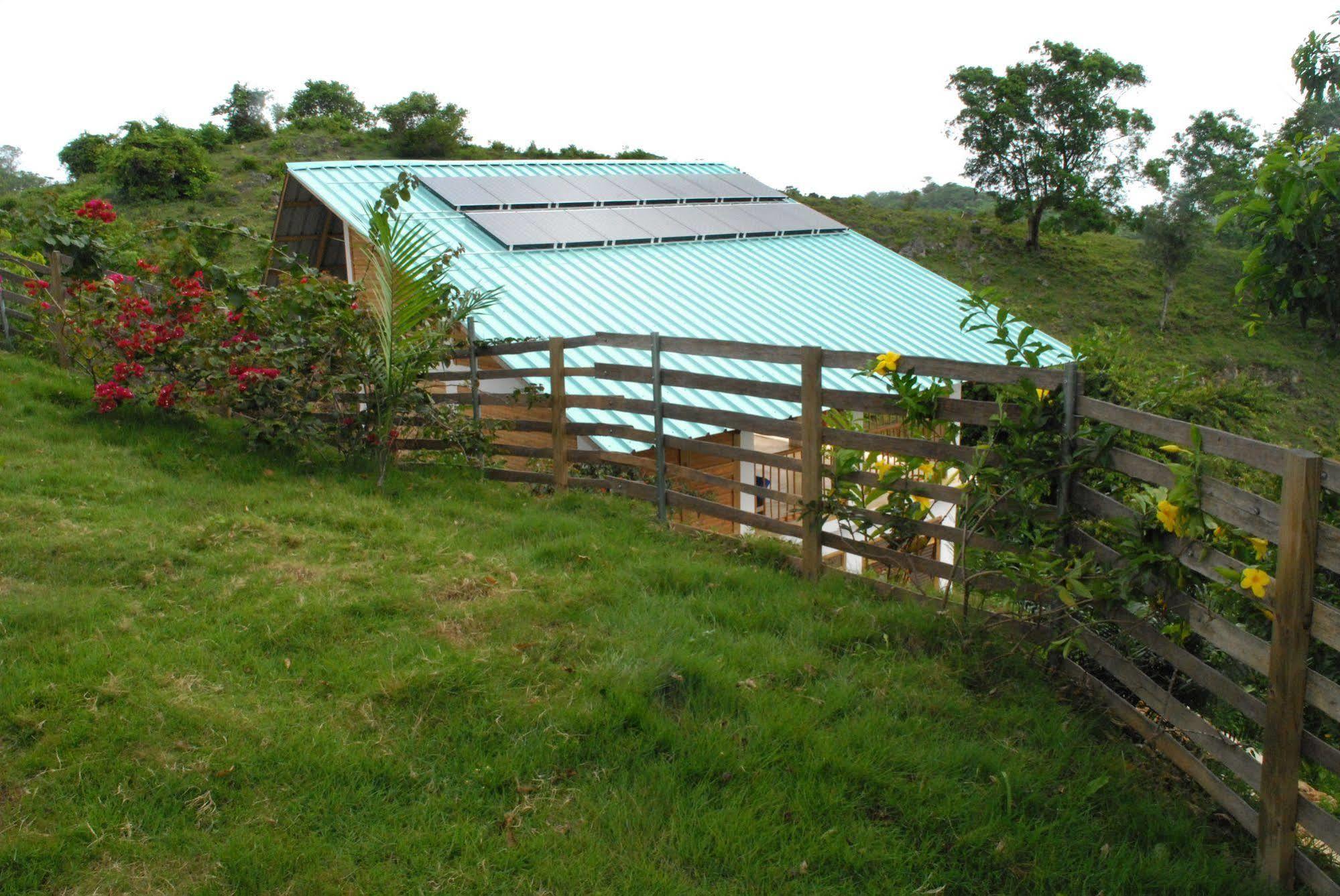 Clave Verde Ecolodge Las Terrenas Dış mekan fotoğraf