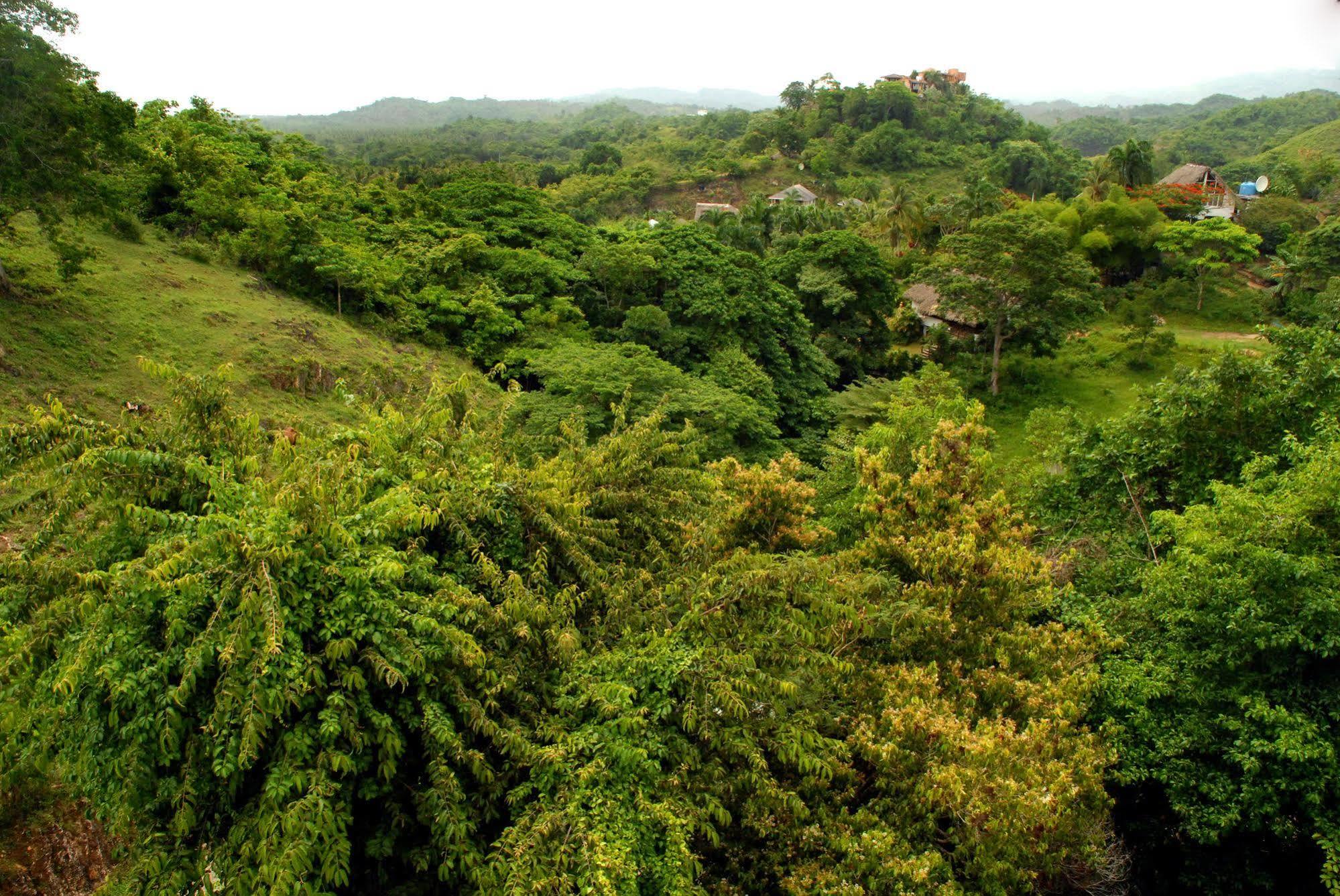Clave Verde Ecolodge Las Terrenas Dış mekan fotoğraf